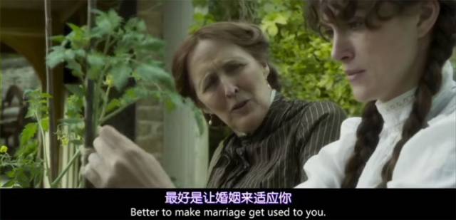 曲线·声色丨在抗拒 逃离 违背中开成百合