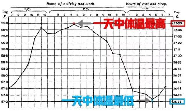 為什麼體溫計的上限是42°c?