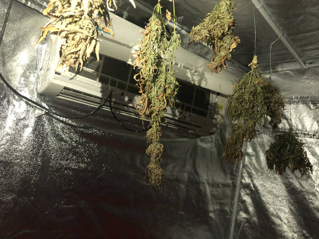 他们租下最高楼层的房间，只为了做这件事...