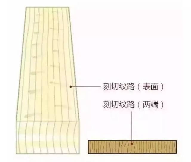 木髓,木髓盔,木髓头盔(第3页)_大山谷图库