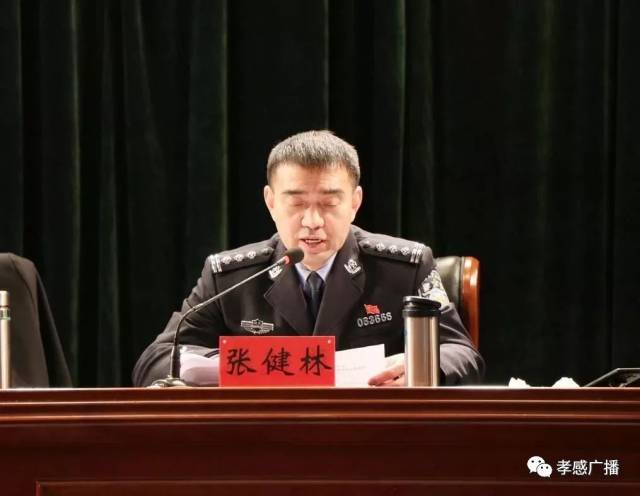 会上,市公安交通管理局局长张健林回顾了2018年"百日安全行动"的成效