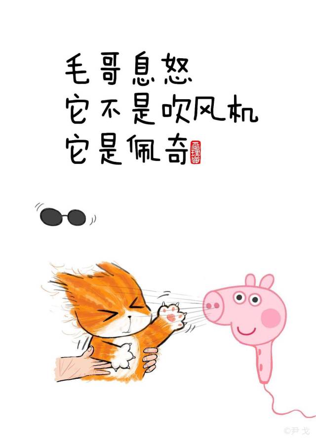毛哥息怒,它不是吹风机,它是佩奇!