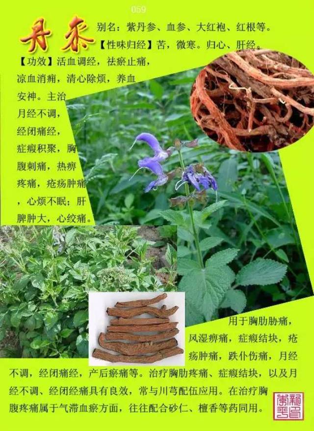 中医养生：从古至今的智慧之光