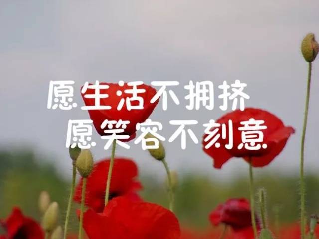 非常走心的一句話人生哲理經典語句,句句簡短入心!