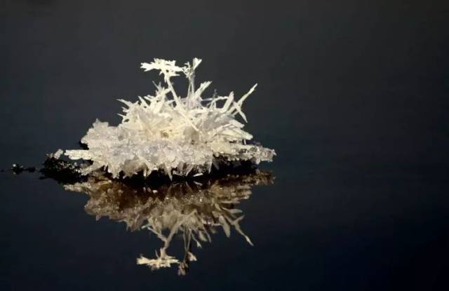 这些看上去为白色针状的结晶体就是芒硝  学名为"十水硫酸钠na2so· 