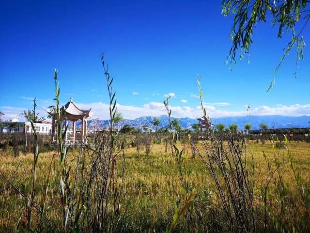 都兰县哈西娃村,哈西娃村,都兰县(第10页)_大山谷图库
