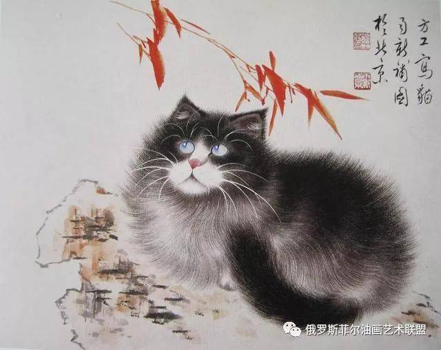 雨新方工工笔画猫图片图片