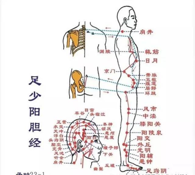 看故事快速记忆“十二经络及穴位”_手机搜狐网