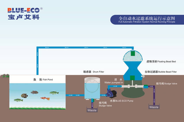 流水槽养鱼设计方案图片