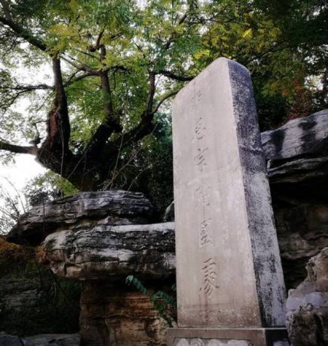 原創煤山上的歪脖樹枯死後,景區費盡周折,終於復植了一棵同樣的樹