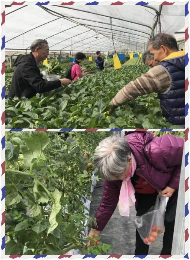 黃埔區科學技術協會—-廣州金河無土栽培蔬菜科普基地科普活動回顧