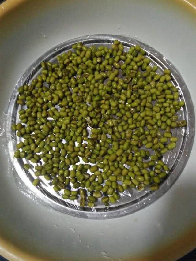 教您在家种豆芽,不用催生剂,方法技巧全告诉你,学会受用一生