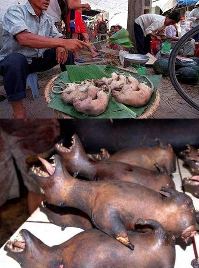 贵州黎平肇兴烤鼠侗寨的食鼠习俗下重口味的黑暗黔味