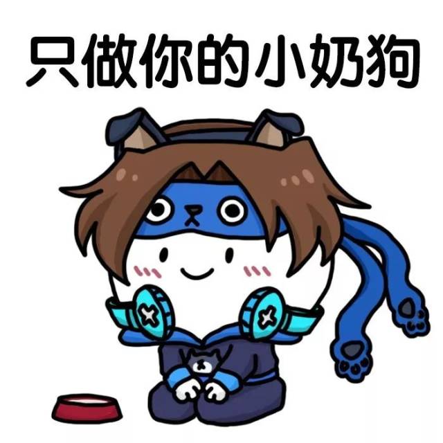 猫狗日记全面爆料宠物取名直播抢先看