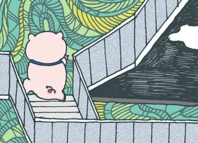 no.5【爬坡背影小猪猪】