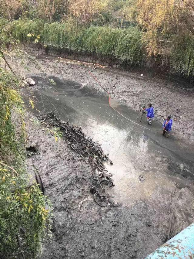河道水被抽干清理淤泥,没看到大鱼鱼,却看到这些!