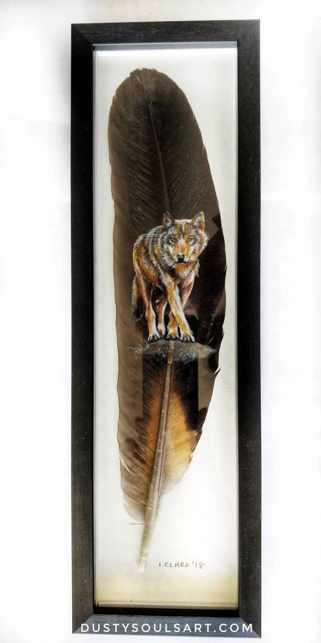 她花了3年时间,创作出令人惊艳的羽毛画!