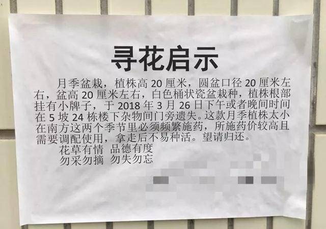 4,寻物启事法:跟上面的花友一样,贴个寻物启事,到底有没有效果,就看偷