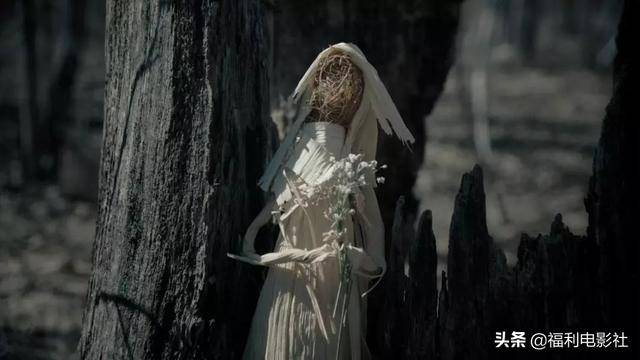 豆瓣9.4,破案美剧越拍越神,但至今有个中国女孩