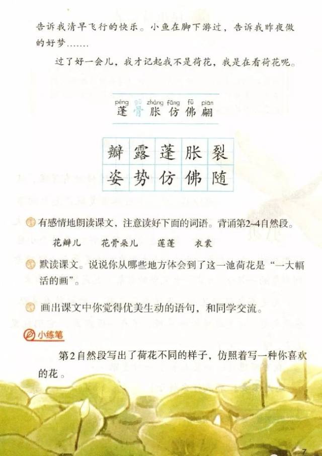 部编小学语文三年级下册_2019春季最新版_课