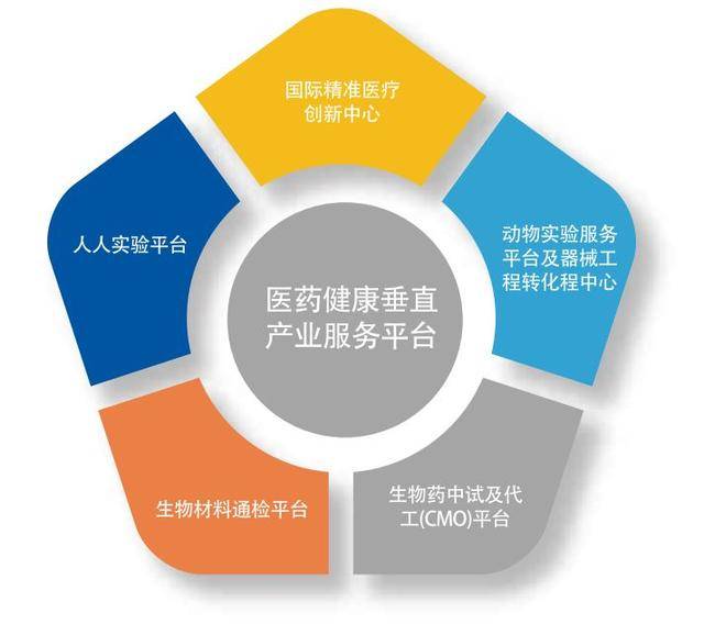 医用耗材供应：行业动态与发展趋势