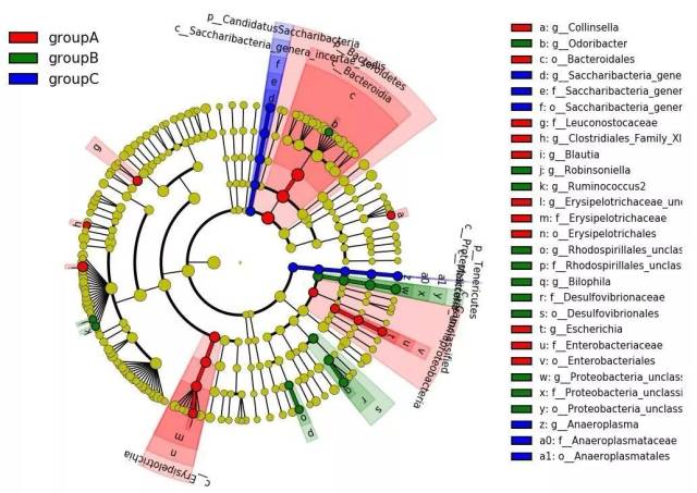 云平台 | LEfSe在线分析教程
