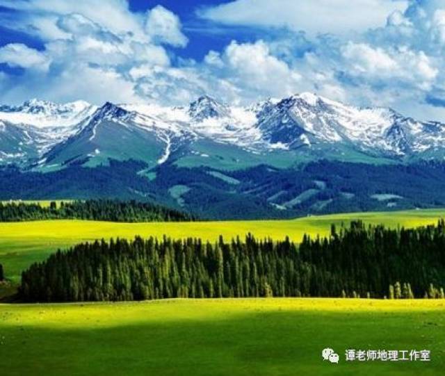 目前关于林线最全的总结(附考点设计)_搜狐网