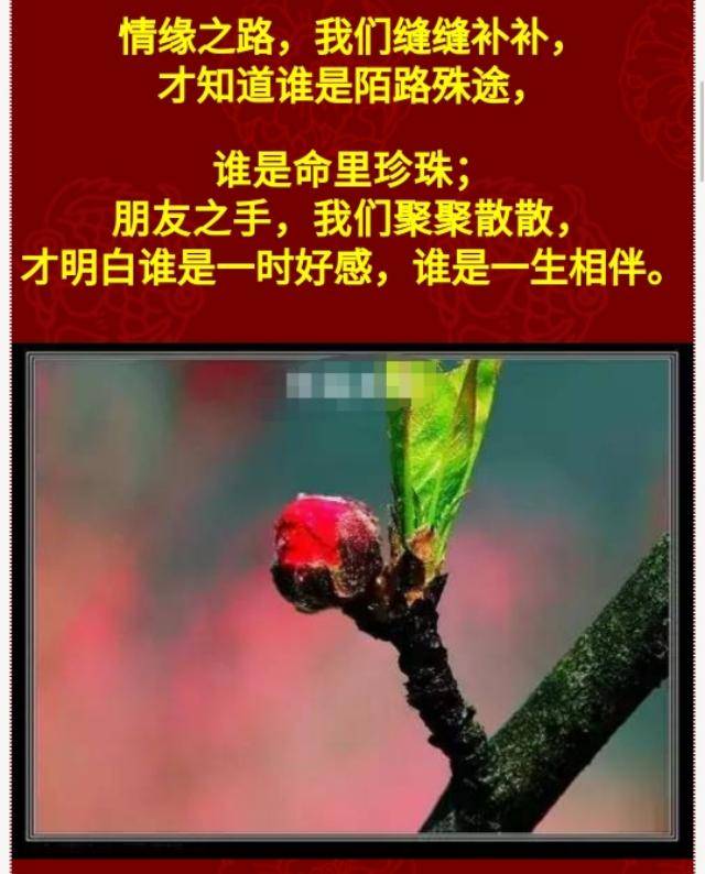 有人对你好,你要珍惜如命!(谢谢对我好的人,谢谢你们!