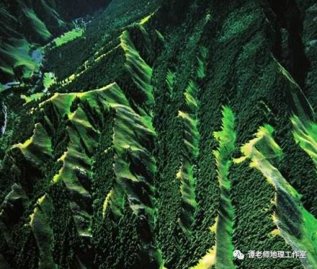 目前关于林线最全的总结(附考点设计)_搜狐网