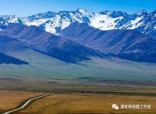目前关于林线最全的总结(附考点设计)_搜狐网