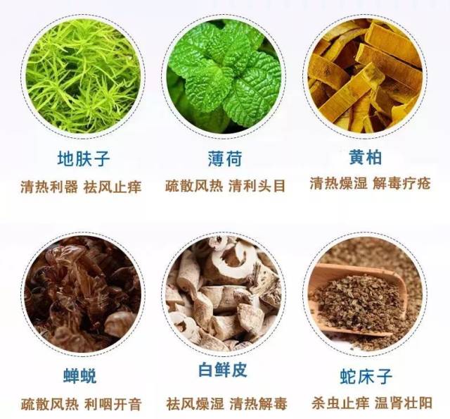 用它,3秒止痒不复发!