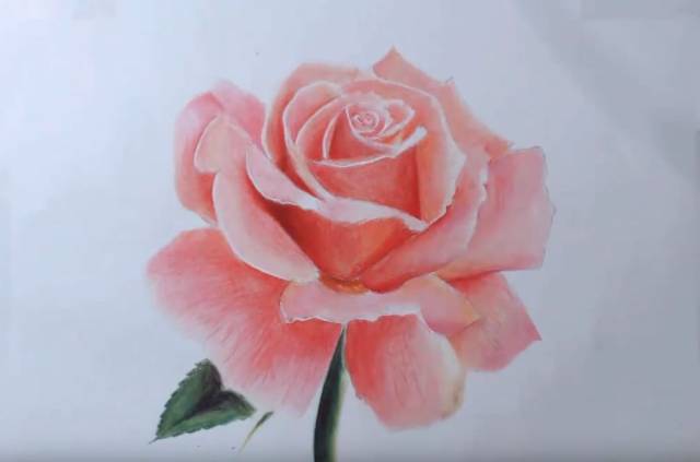 用彩铅,教你画玫瑰花!超美!附带视频哦!