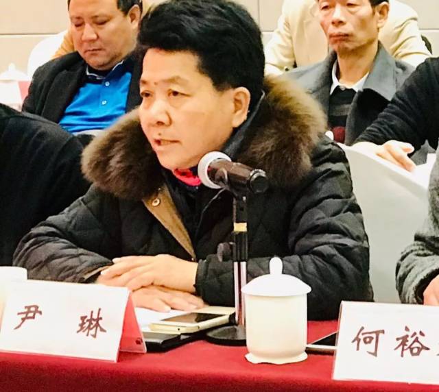 普洱市尹琳会长发言