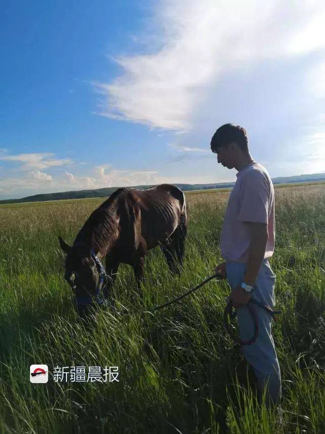 风"获得2018年"中国马王"称号,这也是新疆马匹首次获得"中国马王"称号