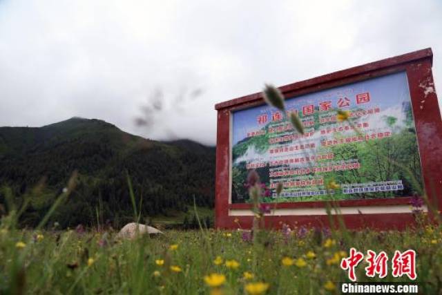 资料图为祁连山国家公园(青海片区)内设置的标识牌. 罗云鹏 摄