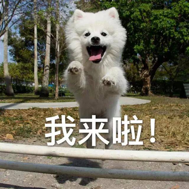 表情包:没关系,你不用哄我