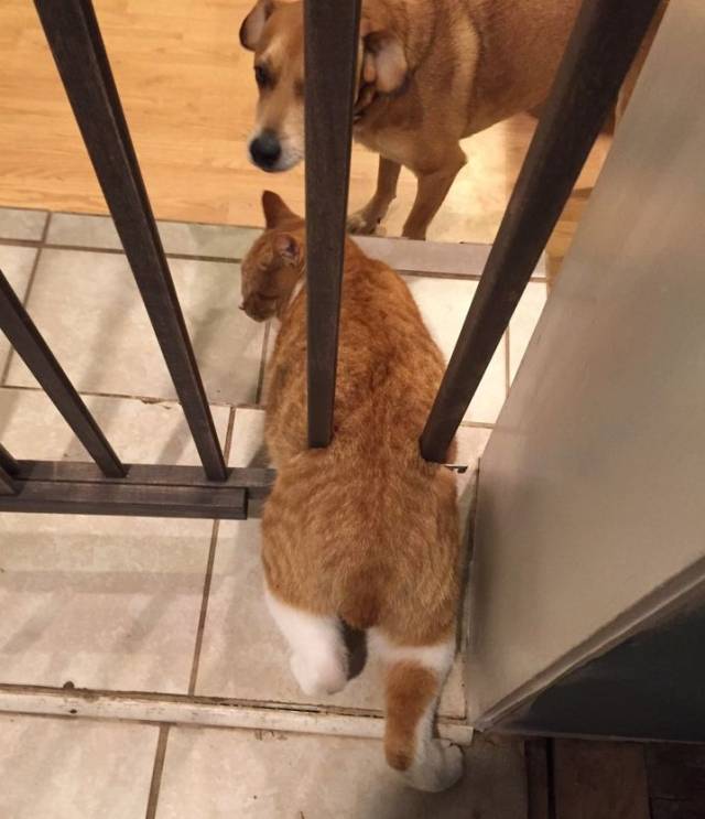 20张容易引起误会的图片,原谅我第一眼想歪了!