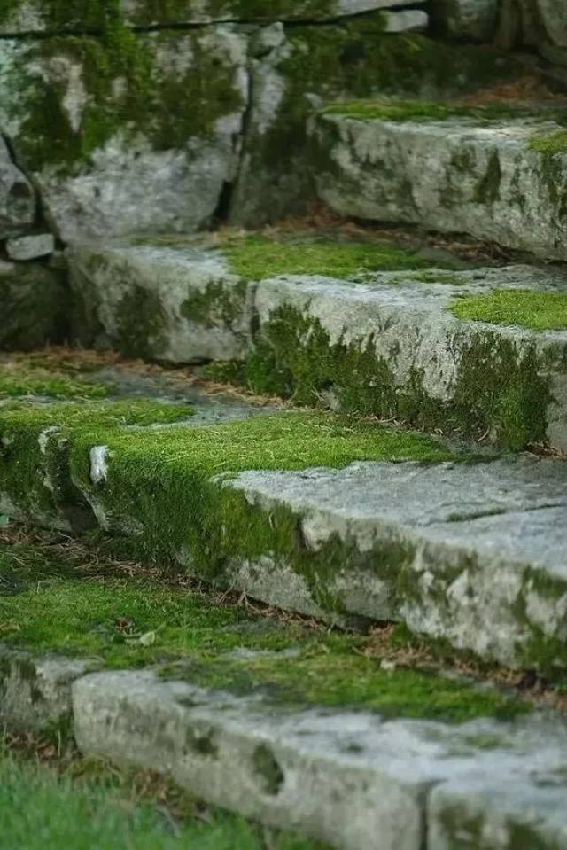 咫尺山林,妙在得乎一人",胜景不在于器物之珍稀,溪涧,石阶所生之青苔