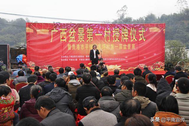 1月20日,笔者走进平南县大鹏镇高坪村,看见房前屋后,田间地头,处处摆