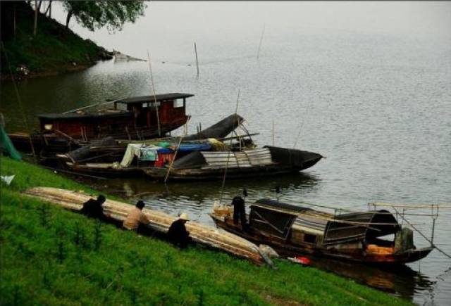 第三名 (将在汉寿同城进行专属乡镇报导) 1520号【岩汪湖镇】 总票数