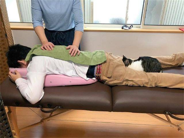 猫咪学人趴着做按摩,但是趴的位置好像有点上头,瞬间成了顶裆猫