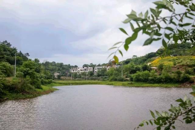 天元区群丰镇湘云村,雨湖区鹤岭镇龙安村,韶山市韶山乡韶阳村,昭山