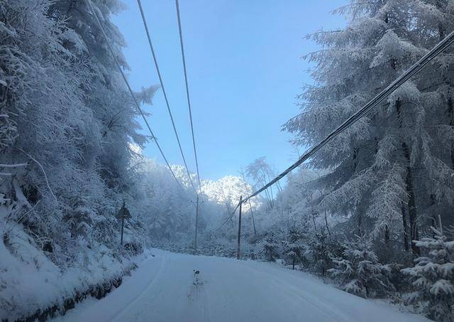 重庆周边雪大不要门票的好地方
