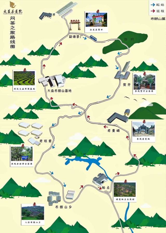 布朗山茶区地图图片