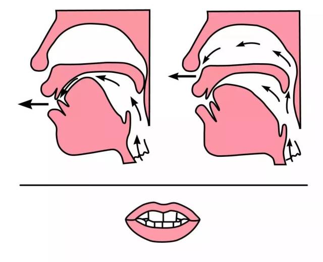 小學低年級前後鼻音發音技巧 (附:平翹舌音 前後鼻音)