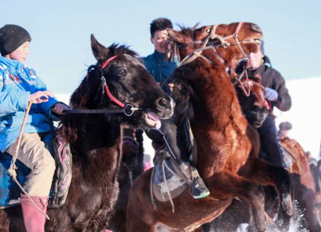 赛马叼羊让齐巴拉嘎西村的冬天别有一番风味