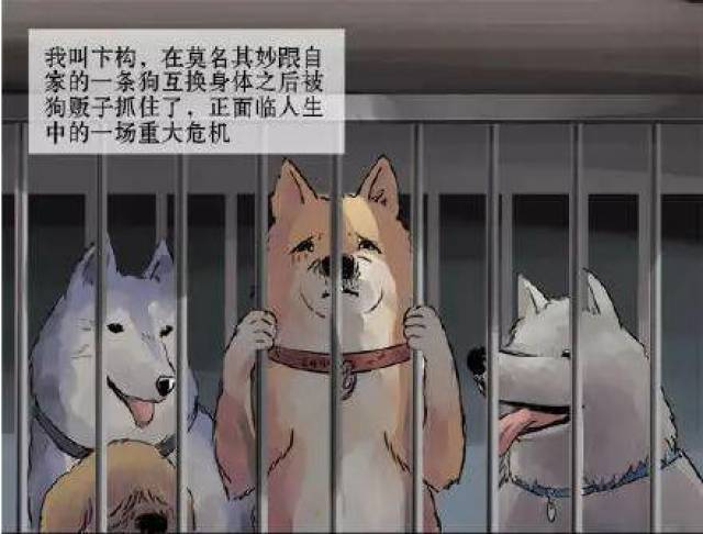 搞笑漫画《救命啊,我变成了一条狗 第 13 话》