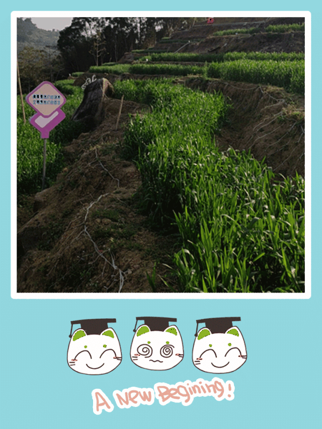 640_853竖版 竖屏gif 动态图 动图