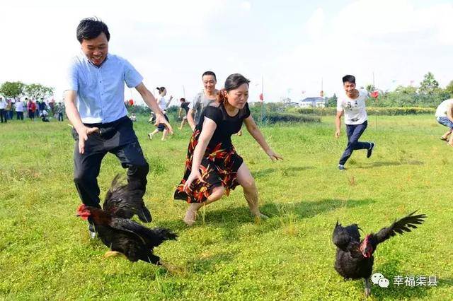 渠县这里——"柑子随便吃","鸡各人抓到各人要"!搞快点约起