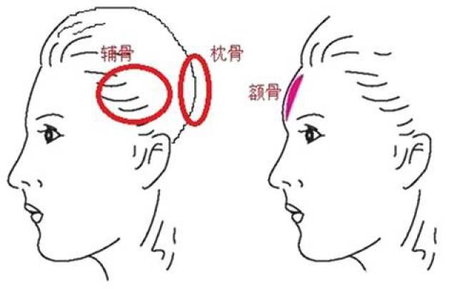 相学精义头骨面相注解耳后无枕骨智力不足难言富寿